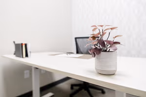 3 Person Private Office