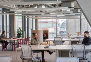 80 Person Enterprise Suite