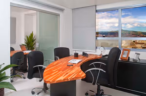 1 Person Virtual Office