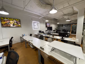 1 Person Virtual Office