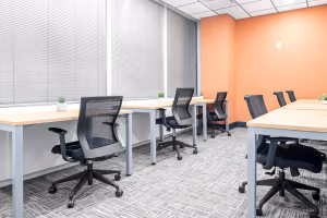 1 Person Private Office