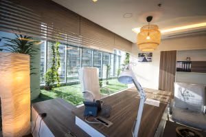 1 Person Private Office