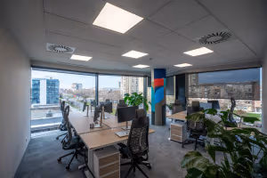 1 Person Coworking Desk