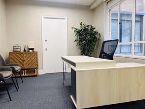 1 Person Virtual Office