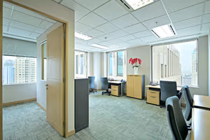 1 Person Virtual Office