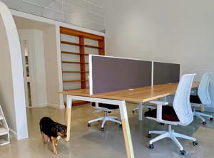 1 Person Coworking Desk