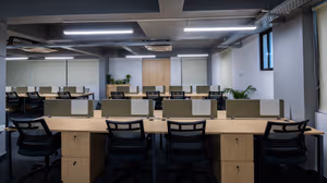 1 Person Virtual Office