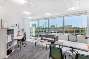 1 Person Private Office