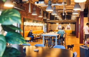 23 Person Private Office