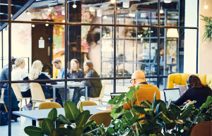 9 Person Private Office