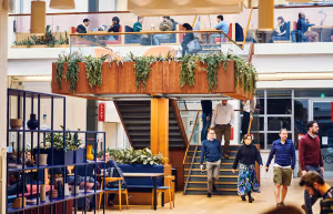 20 Person Enterprise Suite