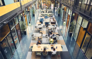 17 Person Private Office