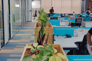 3 Person Coworking Desk