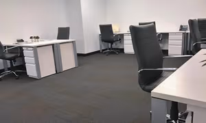 1 Person Virtual Office