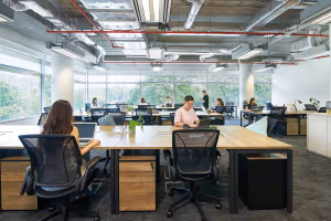 1 Person Virtual Office