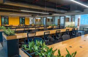 1 Person Coworking Desk