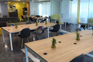 1 Person Coworking Desk