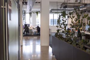 1 Person Coworking Desk