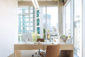 2 Person Coworking Desk