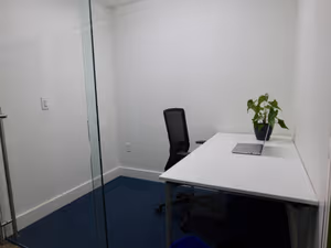 12 Person Coworking Desk