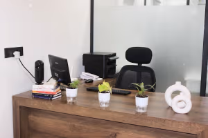 1 Person Private Office
