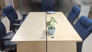 2 Person Coworking Desk