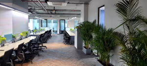 10 Person Coworking Desk