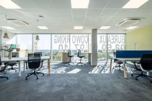 6 Person Coworking Desk