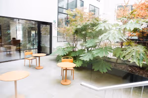3 Person Coworking Desk