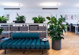 31 Person Enterprise Suite