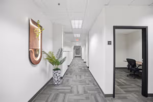 1 Person Virtual Office