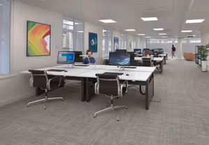 44 Person Enterprise Suite