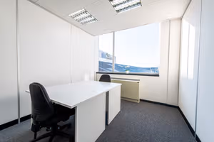 2 Person Coworking Desk