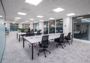 42 Person Enterprise Suite