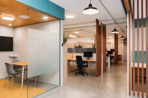 1 Person Virtual Office