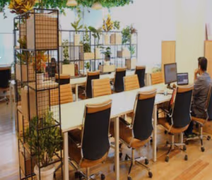 50 Person Enterprise Suite