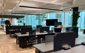 1 Person Virtual Office