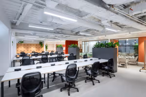 50 Person Enterprise Suite