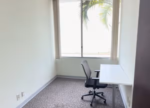 3 Person Private Office