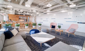 1 Person Virtual Office