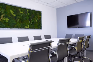 1 Person Virtual Office