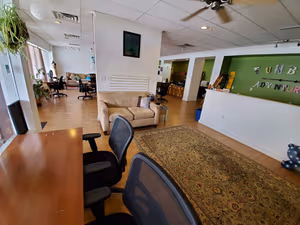 1 Person Virtual Office