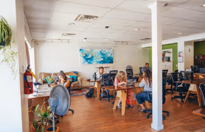 1 Person Enterprise Suite