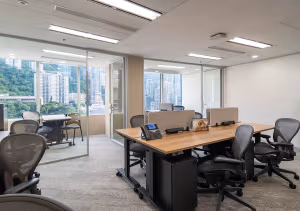 1 Person Virtual Office