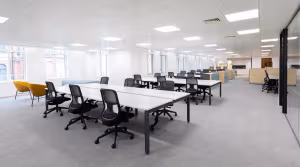 50 Person Enterprise Suite