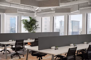 10 Person Coworking Desk