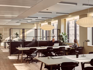 31 Person Enterprise Suite