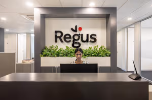 1 Person Virtual Office