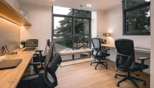 2 Person Coworking Desk