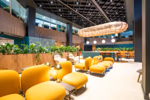 38 Person Enterprise Suite
